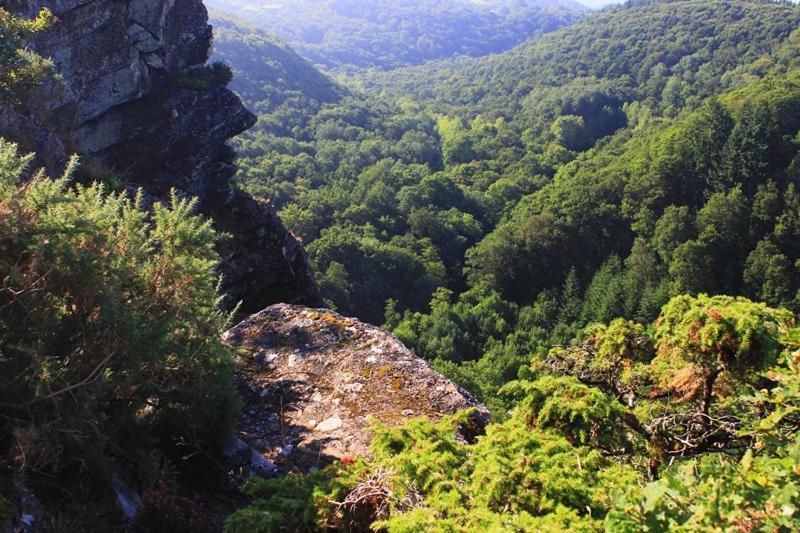 Hébergement de vacances La Grange